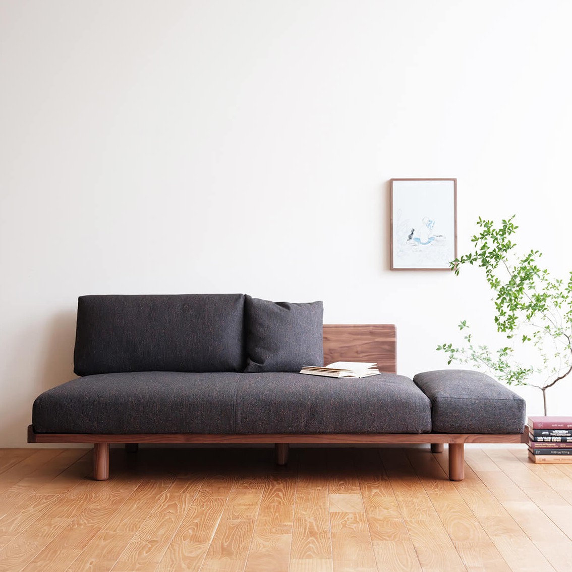 PISOLINO Sofa Bed(walnut)